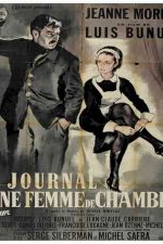 دانلود زیرنویس فیلم Diary of a Chambermaid 1964
