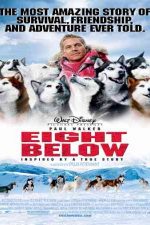 دانلود زیرنویس فیلم Eight Below 2006