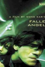 دانلود زیرنویس فیلم Fallen Angels 1995