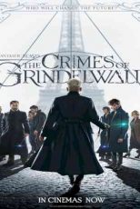 دانلود زیرنویس فیلم Fantastic Beasts: The Crimes of Grindelwald 2018
