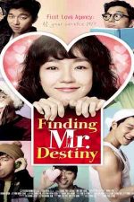 دانلود زیرنویس فیلم Finding Mr. Destiny 2010