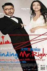 دانلود زیرنویس فیلم Finding Mr. Right 2013