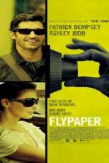 دانلود زیرنویس فیلم Flypaper 2011