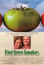 دانلود زیرنویس فیلم Fried Green Tomatoes 1991