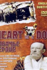 دانلود زیرنویس فیلم Heart of a Dog 1988