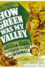 دانلود زیرنویس فیلم How Green Was My Valley 1941