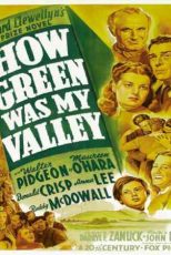 دانلود زیرنویس فیلم How Green Was My Valley 1941