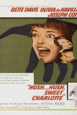 دانلود زیرنویس فیلم Hush…Hush, Sweet Charlotte 1964
