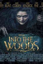 دانلود زیرنویس فیلم Into the Woods 2014