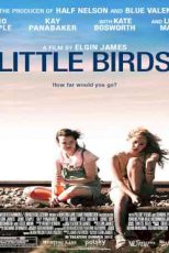دانلود زیرنویس فیلم Little Birds 2011