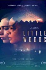 دانلود زیرنویس فیلم Little Woods 2018