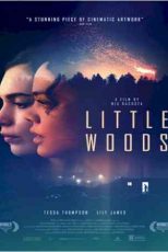 دانلود زیرنویس فیلم Little Woods 2018