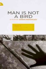 دانلود زیرنویس فیلم Man Is Not a Bird 1965