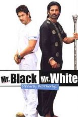 دانلود زیرنویس فیلم Mr. Black Mr. White 2008