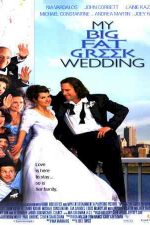 دانلود زیرنویس فیلم My Big Fat Greek Wedding 2002