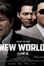 دانلود زیرنویس فیلم New World 2013
