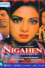 دانلود زیرنویس فیلم Nigahen: Nagina Part II 1989
