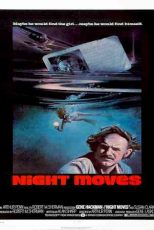 دانلود زیرنویس فیلم Night Moves 1975
