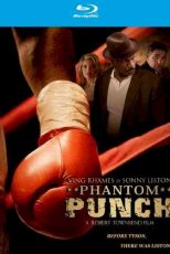 دانلود زیرنویس فیلم Phantom Punch 2008
