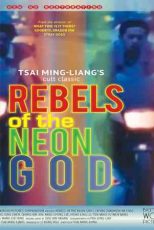 دانلود زیرنویس فیلم Rebels of the Neon God 1992