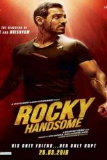 دانلود زیرنویس فیلم Rocky Handsome 2016