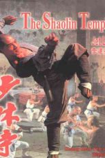 دانلود زیرنویس فیلم Shaolin Temple 1982