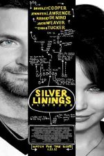 دانلود زیرنویس فیلم Silver Linings Playbook 2012