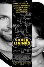 دانلود زیرنویس فیلم Silver Linings Playbook 2012
