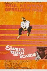 دانلود زیرنویس فیلم Sweet Bird of Youth 1962