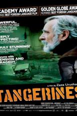 دانلود زیرنویس فیلم Tangerines 2013