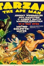 دانلود زیرنویس فیلم Tarzan the Ape Man 1932