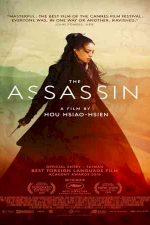 دانلود زیرنویس فیلم The Assassin 2015