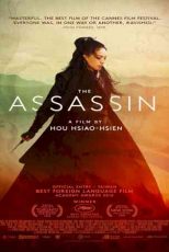 دانلود زیرنویس فیلم The Assassin 2015