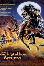 دانلود زیرنویس فیلم The Black Stallion Returns 1983