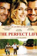 دانلود زیرنویس فیلم The Perfect Life 2011