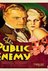 دانلود زیرنویس فیلم The Public Enemy 1931