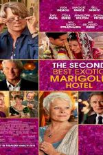 دانلود زیرنویس فیلم The Second Best Exotic Marigold Hotel 2015