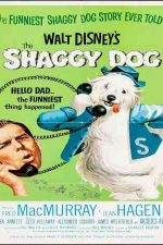 دانلود زیرنویس فیلم The Shaggy Dog 1959