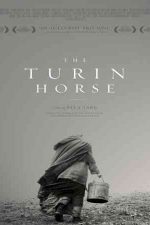 دانلود زیرنویس فیلم The Turin Horse 2011