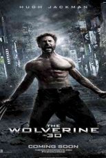 دانلود زیرنویس فیلم The Wolverine 2013