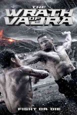 دانلود زیرنویس فیلم The Wrath Of Vajra 2013