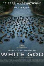 دانلود زیرنویس فیلم White God 2014