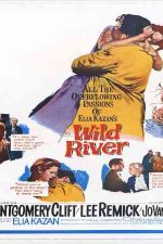 دانلود زیرنویس فیلم Wild River 1960