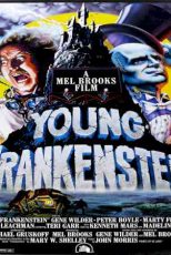 دانلود زیرنویس فیلم Young Frankenstein 1974