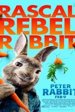 دانلود زیرنویس انیمیشن Peter Rabbit 2018