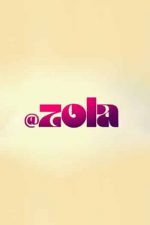 دانلود زیرنویس فارسی فیلم
Zola 2020