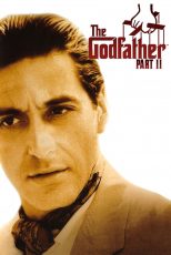 دانلود زیرنویس فارسی فیلم
The Godfather Part II 1974