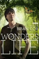 دانلود زیرنویس فارسی سریال
BBC Wonders of Life