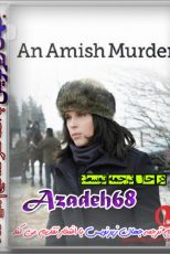 دانلود زیرنویس فارسی فیلم
An Amish Murder 2013