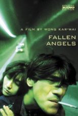 دانلود زیرنویس فارسی فیلم
Fallen Angels 1995